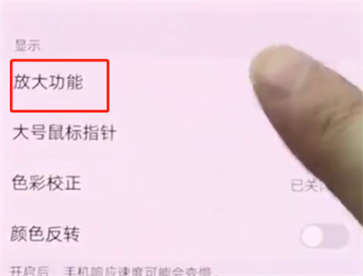 我来分享vivonex中开启放大功能的操作方法。
