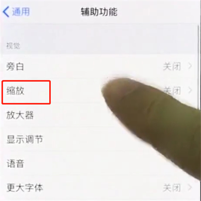 我来分享iphonex中使用缩放的操作步骤。