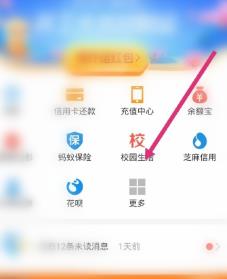 我来分享支付宝开通大学公益林的详细方法。