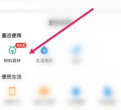 我来分享支付宝开通大学公益林的详细方法。