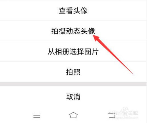 我来分享手机QQ动态头像如何设置。