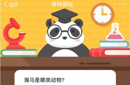 我来分享海马是哪类动物。