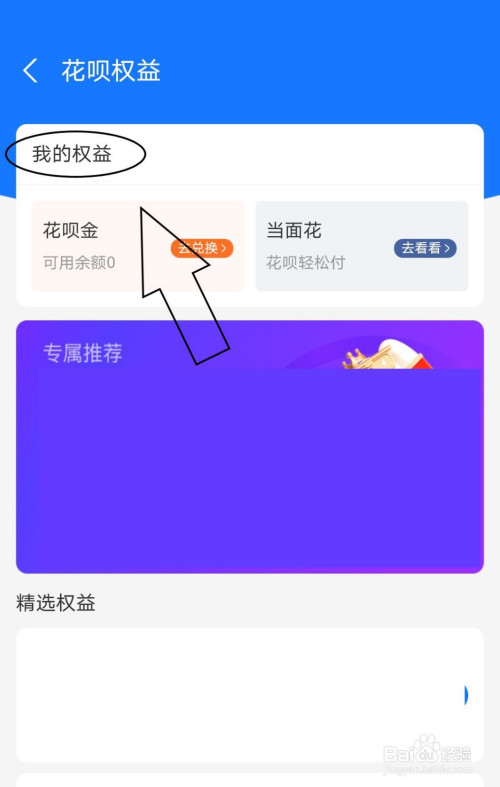 我来分享支付宝怎么查看我的花呗权益。