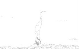 我来分享如何使用ImageMagick的命令编辑图片。