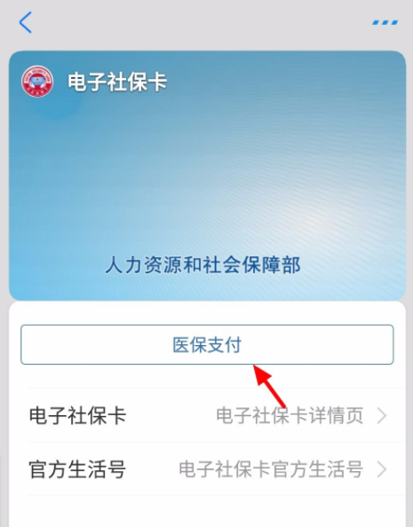 我来分享支付宝如何使用电子社保卡付款。