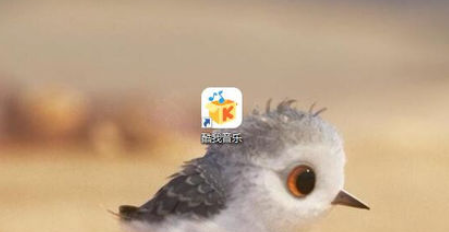 我来分享酷我音乐2013下载无损音乐的详细使用介绍 酷我音乐怎么我来说说不了朋友圈
