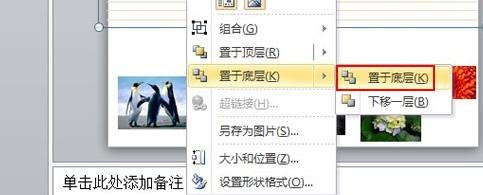 我来分享ppt2010图片添加底纹样式的操作方法 我来分享一个钓黄尾的配方吧