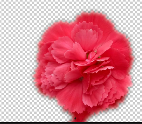 我来分享PS抠图之后处理图片边缘的简单操作方法