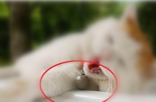 我来分享photoshop cs6为图片加框的操作步骤 我来分享一下用两个月祛除狐臭的过程