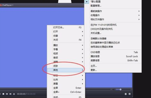 我来分享PotPlayer设置为最前端播放的操作教程 我来分享汽车知识