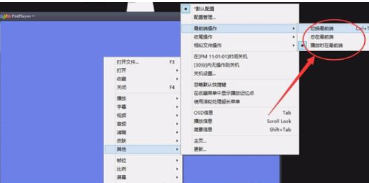 我来分享PotPlayer设置为最前端播放的操作教程 我来分享汽车知识