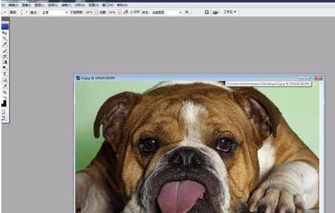 我来分享Adobe Photoshop中液化工具的详细使用步骤 我来分享一下英语