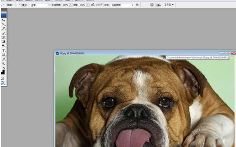 我来分享Adobe Photoshop中液化工具的详细使用步骤 我来分享一下英语