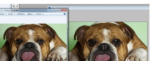 我来分享Adobe Photoshop中液化工具的详细使用步骤 我来分享一下英语