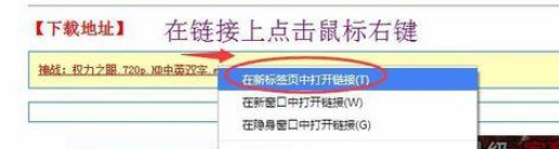 我来分享谷歌浏览器无法启用迅雷/阿里旺旺的解决方法