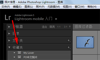 Lightroom建立收藏夹集及收藏夹的操作方法截图