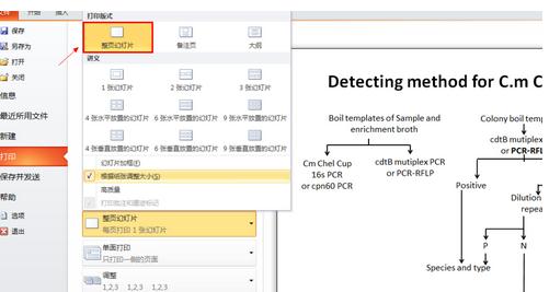 我来分享PowerPoint 2013打印占满整张纸的设置方法 我来分享一下英语