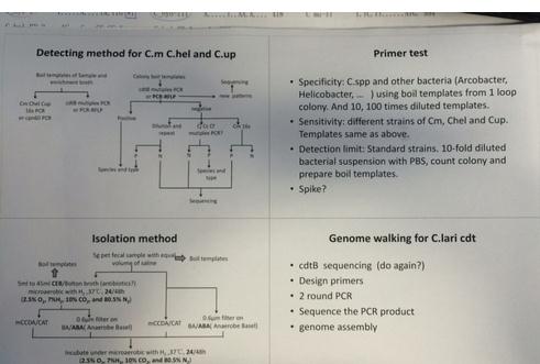 我来分享PowerPoint 2013打印占满整张纸的设置方法 我来分享一下英语