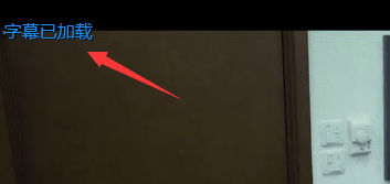 我来分享爱奇艺万能播放器手动添加字幕的具体方法 爱奇艺下载视频怎么我来说说给别人
