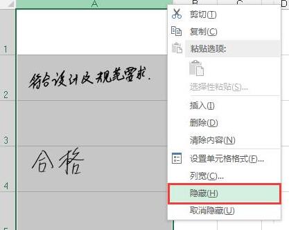 我来分享Excel设置图片和表格一起隐藏的操作方法 我来分享汽车知识