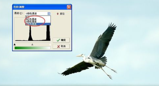 我来分享光影魔术手使用色阶的图文方法