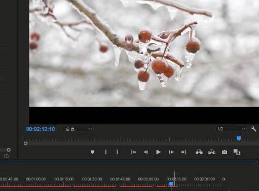 premiere制作视频对比效果的详细步骤截图