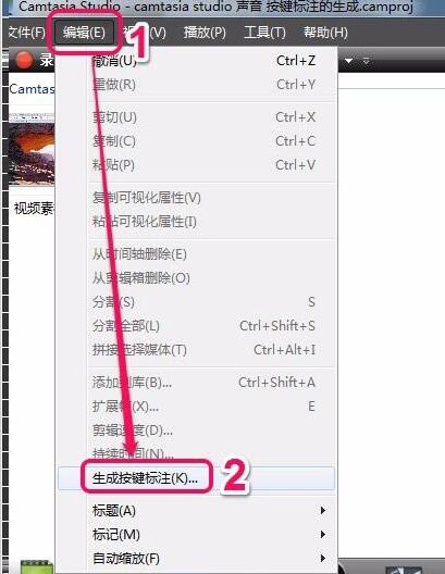 我来分享Camtasia
