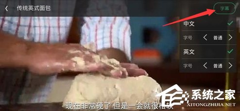 我来分享网易公开课怎么调节字幕
