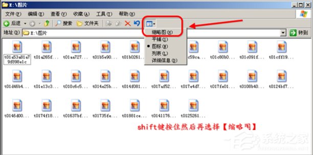 我来分享WinXP缩略图不显示文件名怎么办