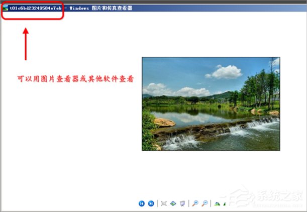 我来分享WinXP缩略图不显示文件名怎么办