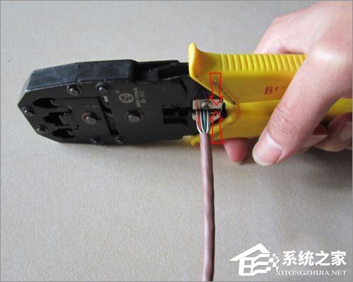 我来分享如何制作网线