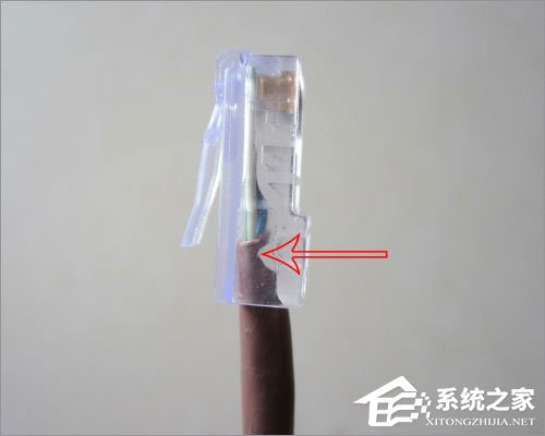 我来分享如何制作网线