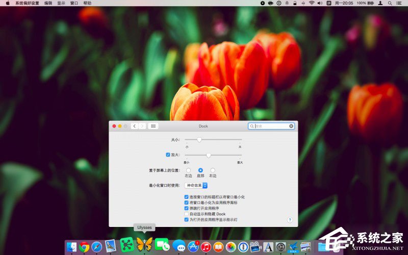 我来分享Dock栏怎么用