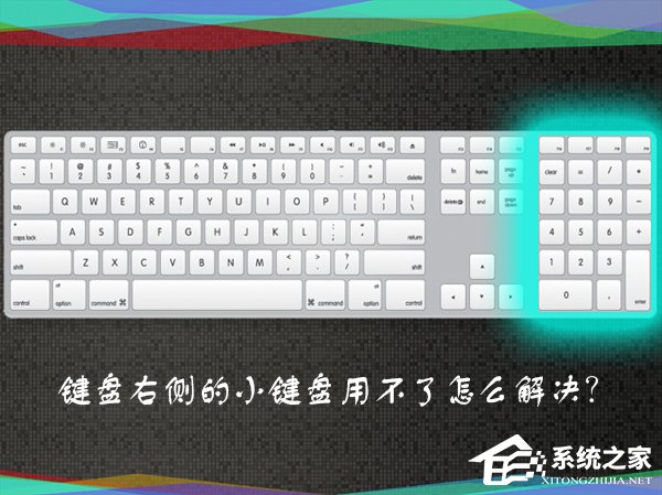 我来分享为什么数字键盘用不了