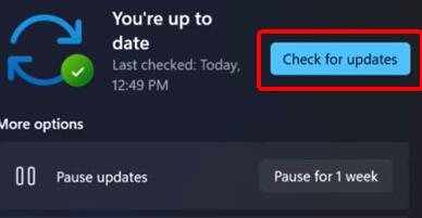 我来分享Win11以前驱动能用吗