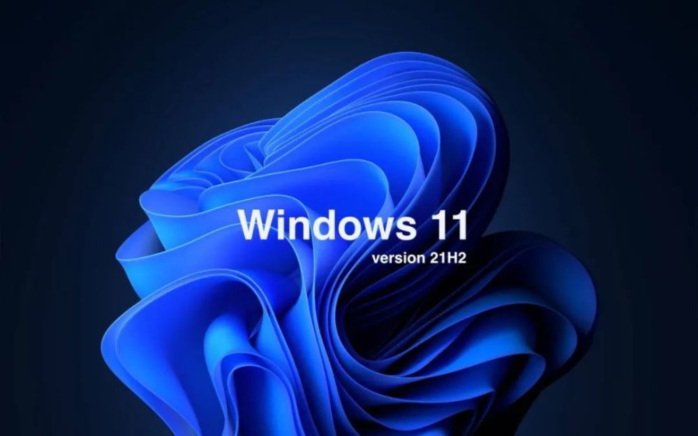 我来分享Win11文件管理器卡顿反应慢怎么办