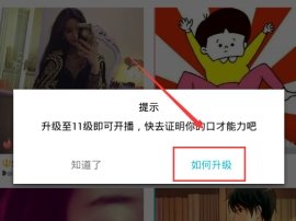我来分享陪我APP中快速升级具体步骤介绍