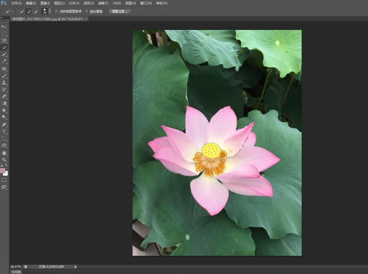 我来分享使用Photoshop快速选择工具抠图具体操作方法