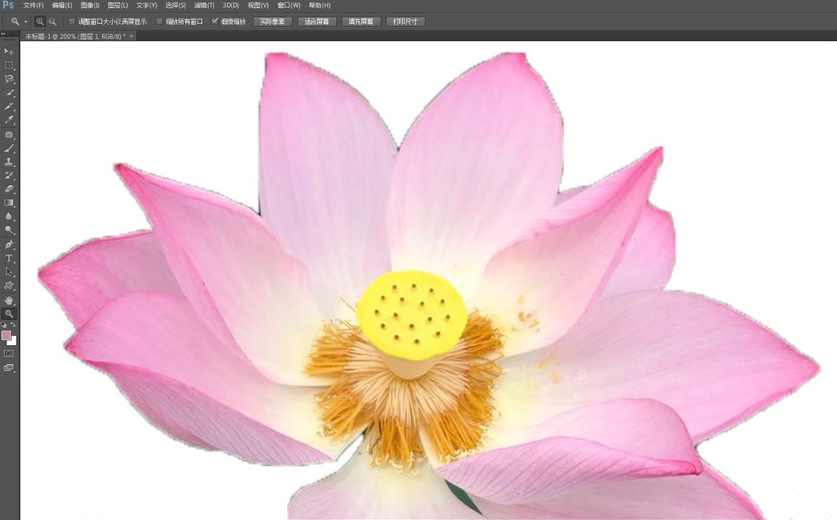我来分享使用Photoshop快速选择工具抠图具体操作方法