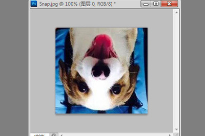 我来分享PhotoShop如何旋转图片（photoshop如何导入图片）