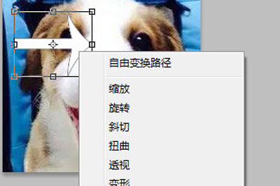 我来分享PhotoShop如何旋转图片（photoshop如何导入图片）