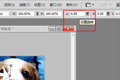 我来分享PhotoShop如何旋转图片（photoshop如何导入图片）