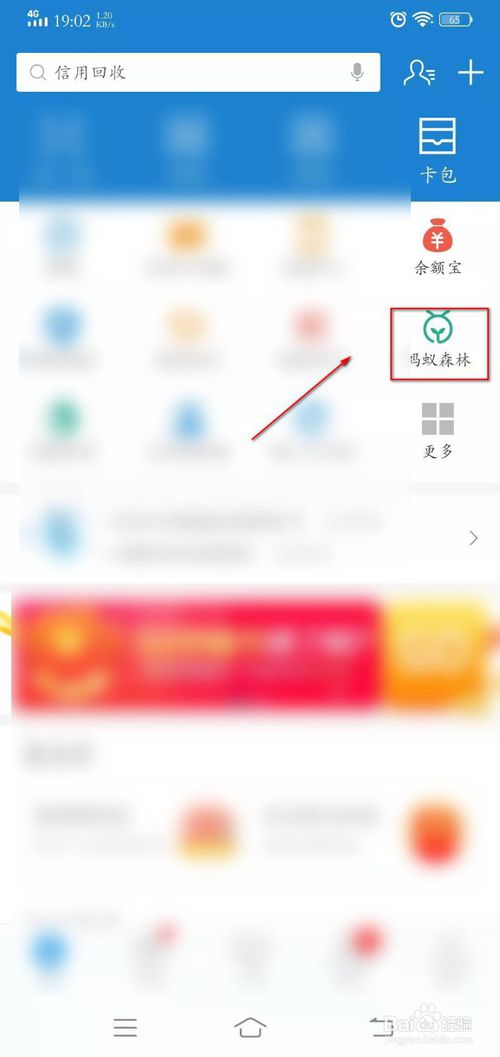 我来分享怎么将支付宝蚂蚁森林产生的能量数值隐藏。