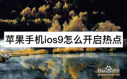 我来分享苹果手机iOS9如何开启热点。