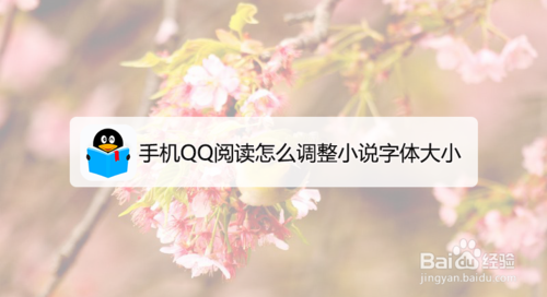 我来分享手机QQ阅读如何调整小说字体大小。