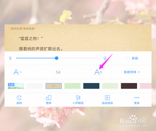 我来分享手机QQ阅读如何调整小说字体大小。