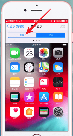 我来分享在苹果手机里将图标调小的操作过程。