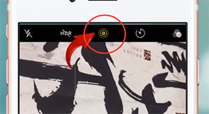 我来分享在苹果手机里使用live photo的简单操作。