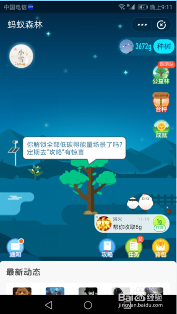 我来分享怎么在支付宝蚂蚁森林收取能量。