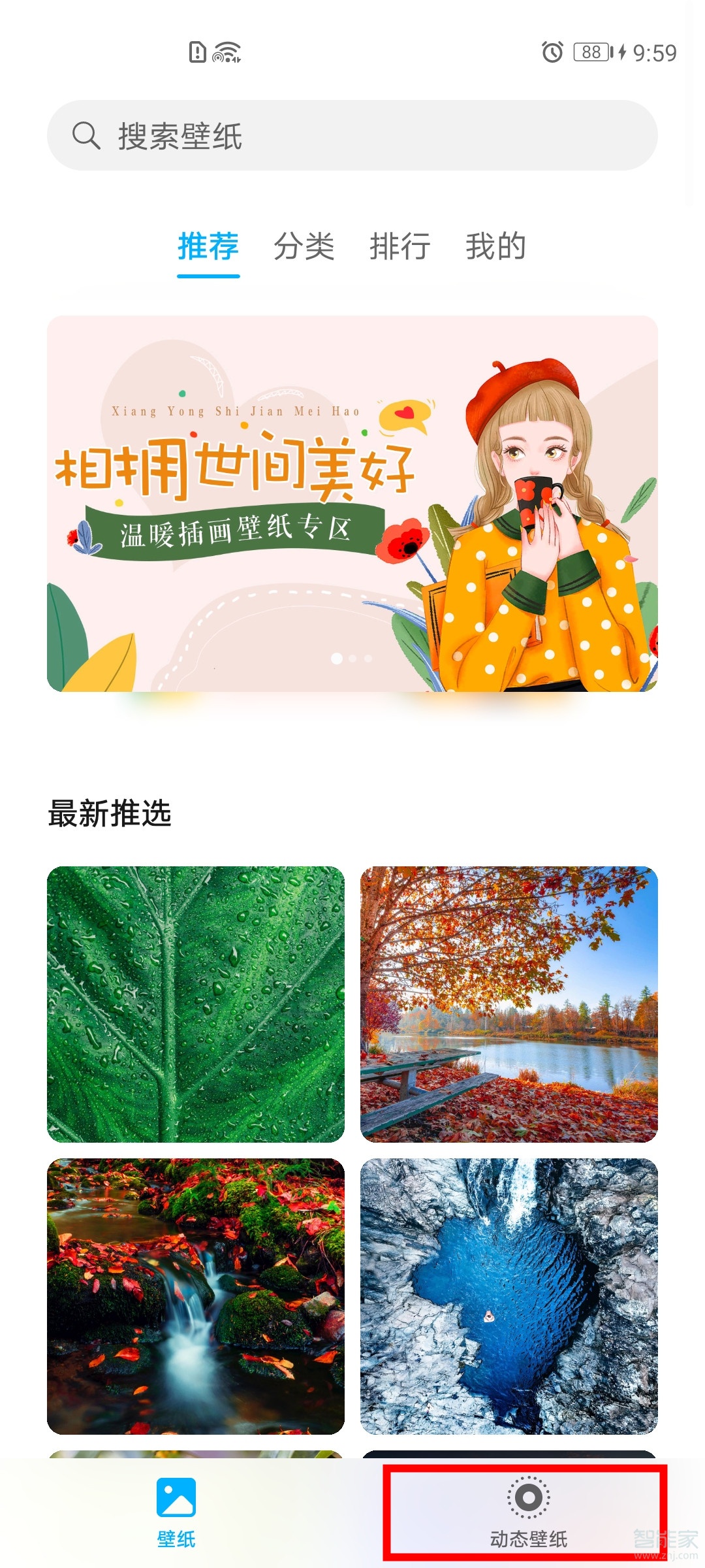 我来分享荣耀v30pro如何设置动态壁纸。